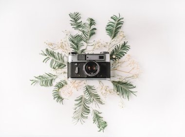 文章中插入卡片