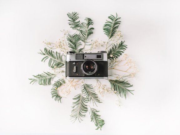 文章中插入卡片